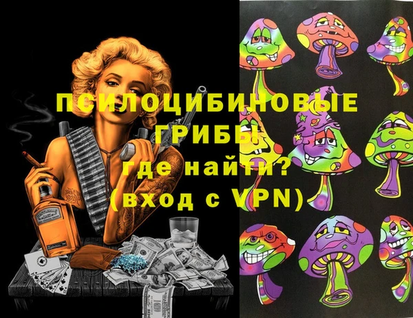 дживик Вязники