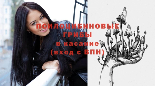 дживик Вязники