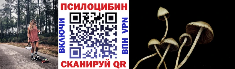 купить   Находка  Псилоцибиновые грибы Cubensis 